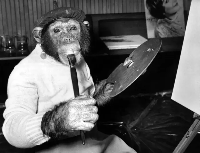 Framed Print : Mandy the chimp takes a liking to the paint and licks it off the brush with a winsome Framed Print : Mandy the chimp takes a liking to the paint and licks it off the brush with a winsome