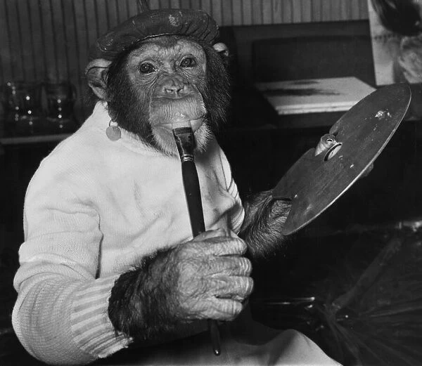 Mandy a painting chimp at the Establishment Club, auditioning for £250 film part