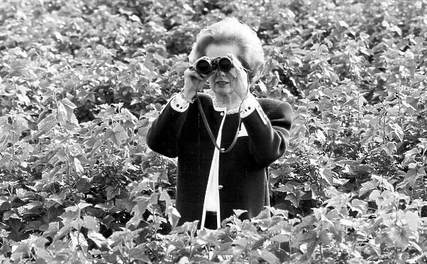 Margaret Thatcher looking through binoculars on a fruit farm - May 1987