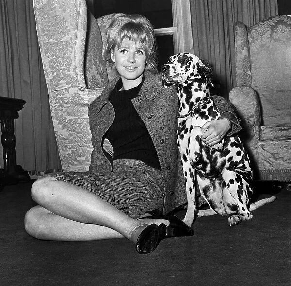 Marianne Faithfull pop singer actress with dog 1965