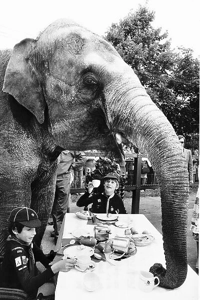 Marjorie the elephant had two guests for tea at Chessington Zoo on Tuesday when Shaun O