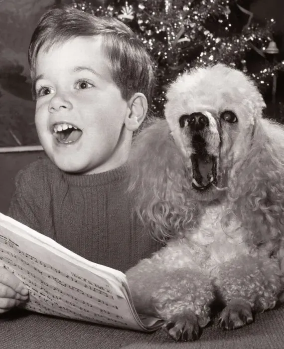 Framed Print : Mark Sidey with his Poodle Dog - December 1966 Singing Christmas Carols