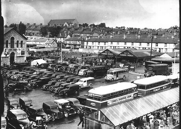 Market day at Newton Abbot Cattle Market. Circa 1950