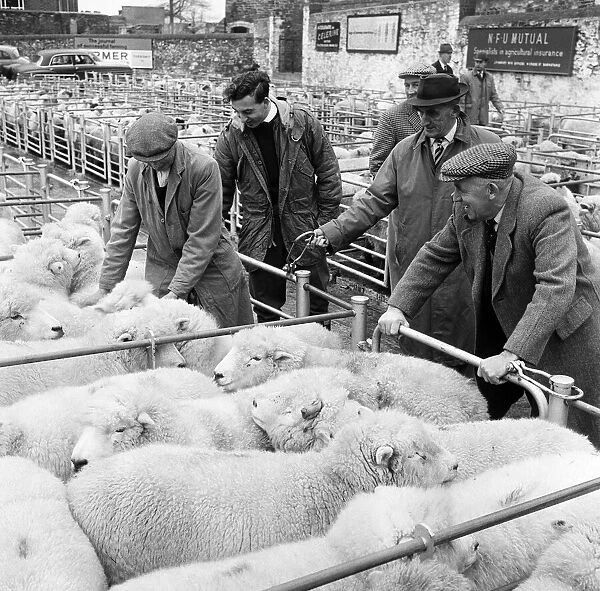 Market scenes in Barnstaple, North Devon. 9th January 1966