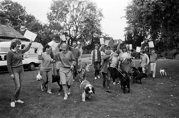 Mass walkies - twenty-four dogs and walkers took part in this sponsored walk at Beaumont