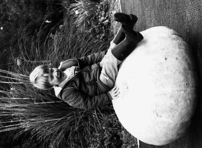 Framed Print : Mathew McLean on a 248lb pumpkin 1981 Framed Print : Mathew McLean on a 248lb pumpkin 1981