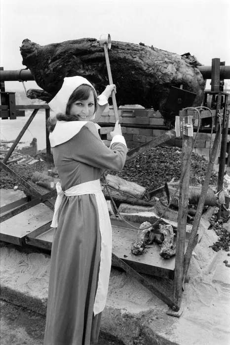 Framed Print : Mayflower May 1970 - Pilgrim girl Wendy Faulks roasts a 800lb ox