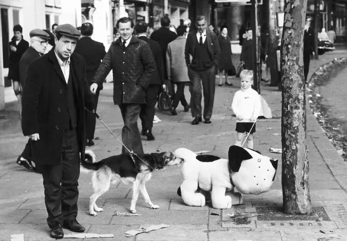 Framed Print : A mechanical toy dog sniffing a tree is being sniffed ata by a real dog on the street Framed Print : A mechanical toy dog sniffing a tree is being sniffed ata by a real dog on the street