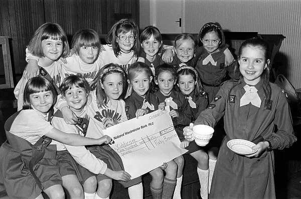 Members of the 101st St Francis Church, Fixby Brownies, who raised £
