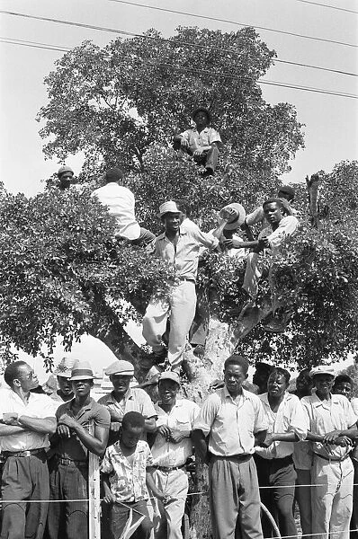 Members of the crowd try to gain a vantage point in the trees surround the Parade Ground