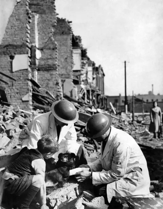 Framed Print : Members of a rescue squad giving treatment to a wounded dog who survived last nights air Framed Print : Members of a rescue squad giving treatment to a wounded dog who survived last nights air