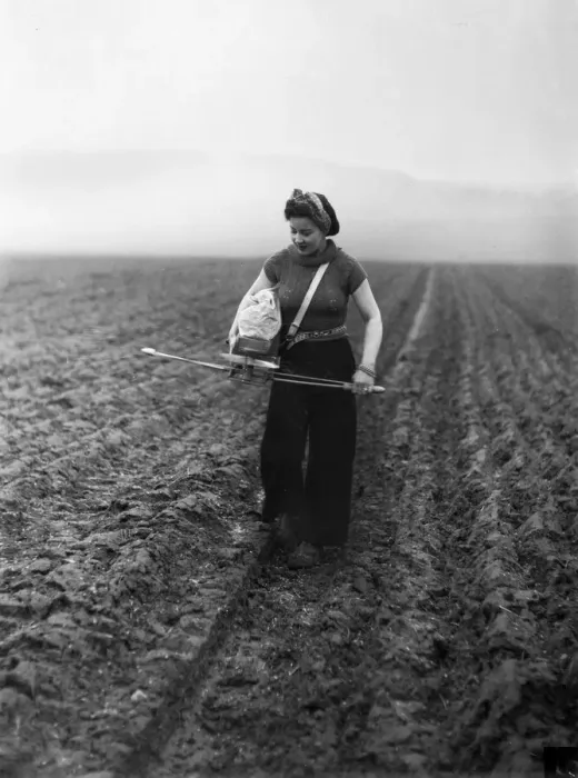 Framed Print : Members of the Women Land Army (WLA) sowing seeds by the old fashioned Fiddle method in