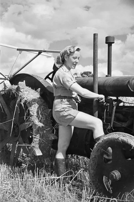 Framed Print : Members of the Women Land Army (WLA) at work on a farm in Hertfordshire Framed Print : Members of the Women Land Army (WLA) at work on a farm in Hertfordshire