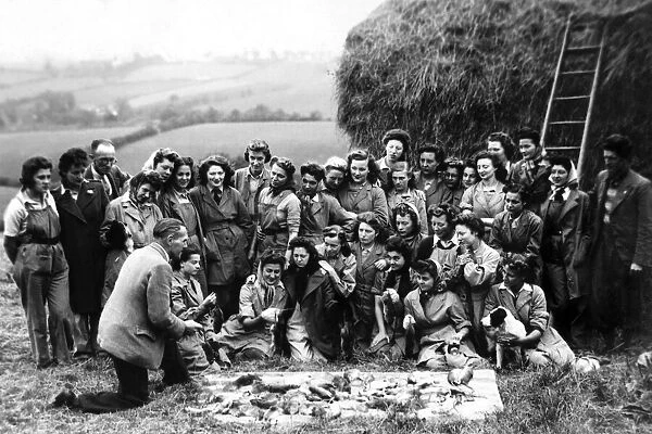 Members of the Womens Land Army, attached to the pest control offices