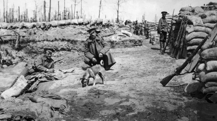Framed Print : Men of the Duke of Cornwalls Light Infantry in the front line near Ypres with Framed Print : Men of the Duke of Cornwalls Light Infantry in the front line near Ypres with