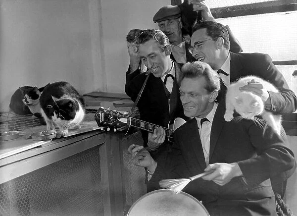 Four men entertain the cats at Whittlesey with a guitar