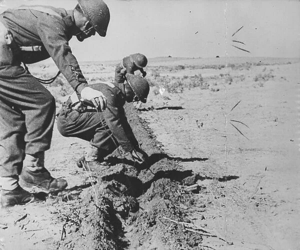 Men of the Royal Corps of Signals ploughing in telephone cables in a desert forward area