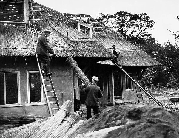 Men thatching a house in Norwich. 16th June 1933