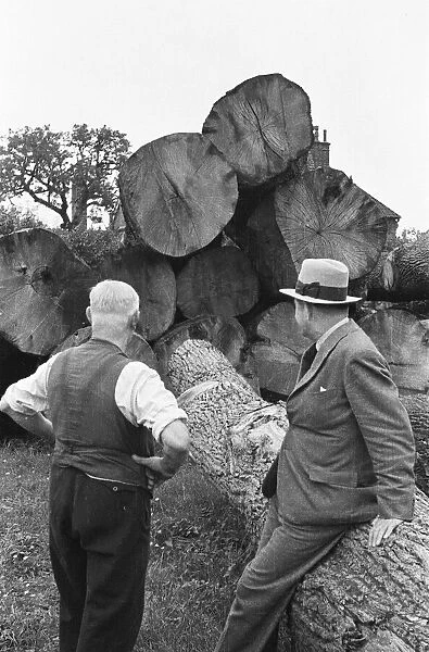 Men at work in a Surrey timber yard, South East England. Circa 1930s