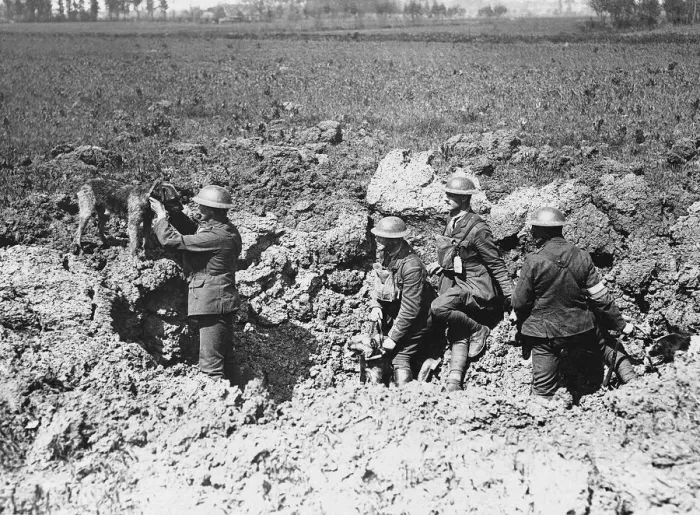 Framed Print : A messenger dog carrying orders arrives at a trench occupied by British soldiers World Framed Print : A messenger dog carrying orders arrives at a trench occupied by British soldiers World