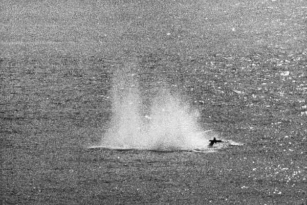 Messerschmitt plane downed in the waters around Dover, Kent
