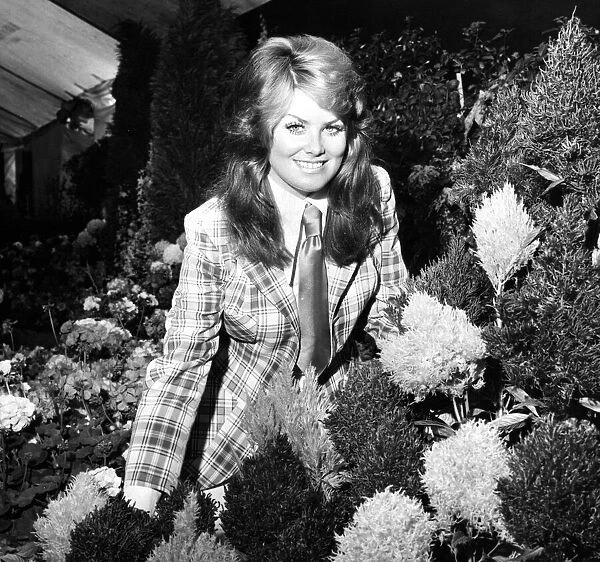 Michelle Lane (22) beauty queen & model at annual flower show in Ayr, 15th August 1972