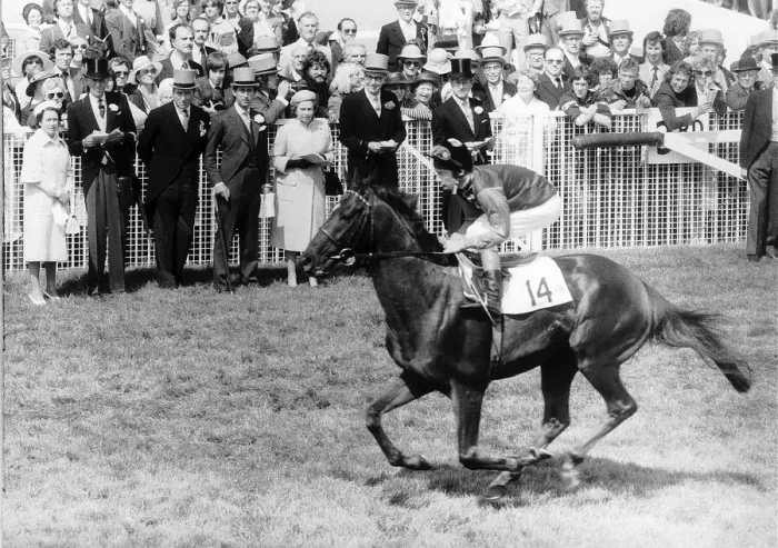 Framed Print : Milford Horseracing & jockey Lester Piggott June 1979 rides past Members of