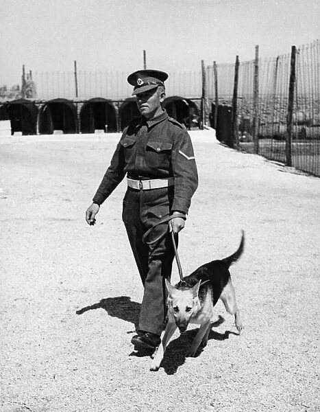 Military Policeman Lance Corporal H. Wallis of 68 King Alfred Street