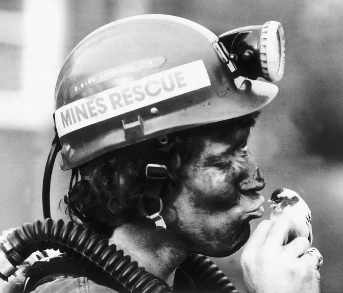Framed Print : Miner David Kirk kisses Pit Canary 1981 Framed Print : Miner David Kirk kisses Pit Canary 1981