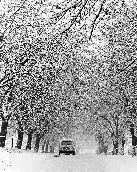 A mini car makes its way under an archway of trees mantes with snow, Broughton Road