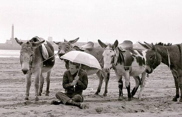 A Miserable day at Margate beach for the donkey rides owner who takes cover under an