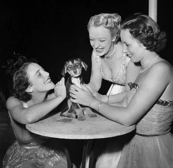 Miss Dallas Ruming and Pamela Russell admiring Skittles the dog