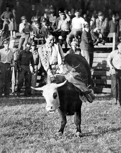 Miss Hattie Taylor, an Army nurse from Texas, riding a bucking steer. August 1944 P012220
