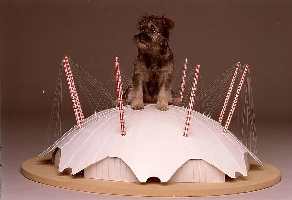 Missey tries out her millennium dome home A©Mirrorpix