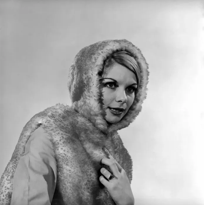 Framed Print : Model Bianca Foakes seen here modeling fur coat in the Reveille Studio. 1964 Framed Print : Model Bianca Foakes seen here modeling fur coat in the Reveille Studio. 1964