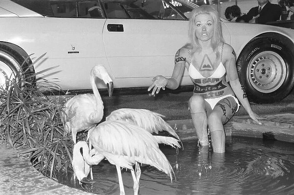 Model from the British Road Safety campaign poses in a bikini with flamingoes at the 1971