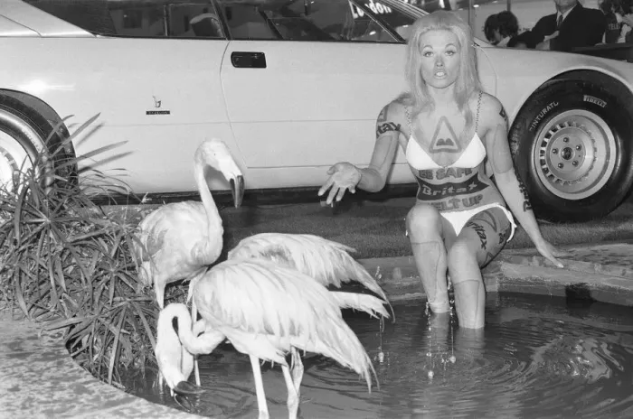 Framed Print : Model from the British Road Safety campaign poses in a bikini with flamingoes at the 1971