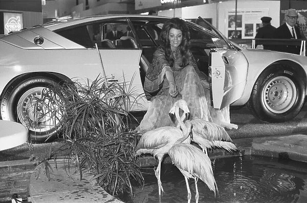 Model with flamingoes at the 1971 Earls Court motor show 19th October 1971