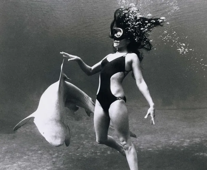 Framed Print : Model Marty Worsham of Florida glides through the waters with a shark in silhouette Framed Print : Model Marty Worsham of Florida glides through the waters with a shark in silhouette
