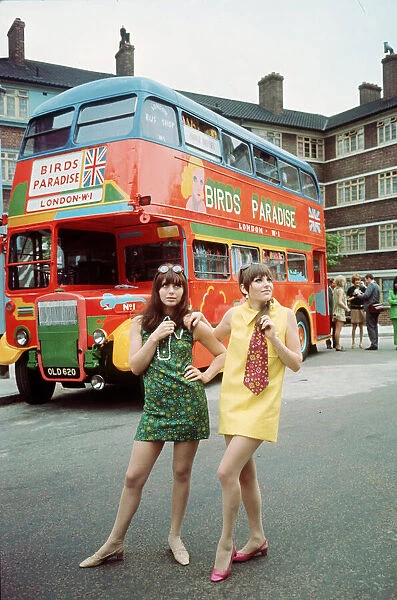 Models pose in front of bus painted with the slogan Birds Paradise wearing mini dresses