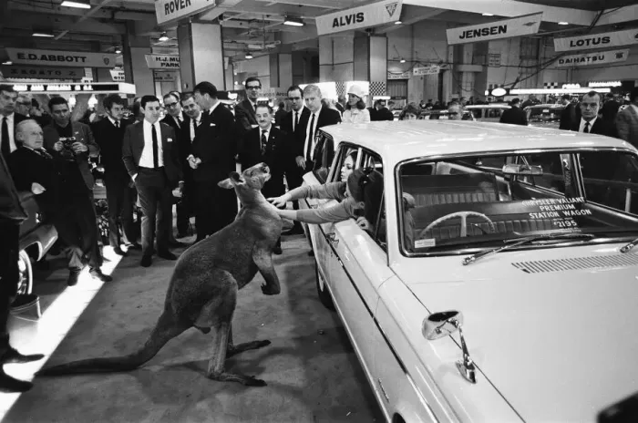 Framed Print : Models pose with a kangaroo on the Chrysler stand at the London Motor Show 18th October