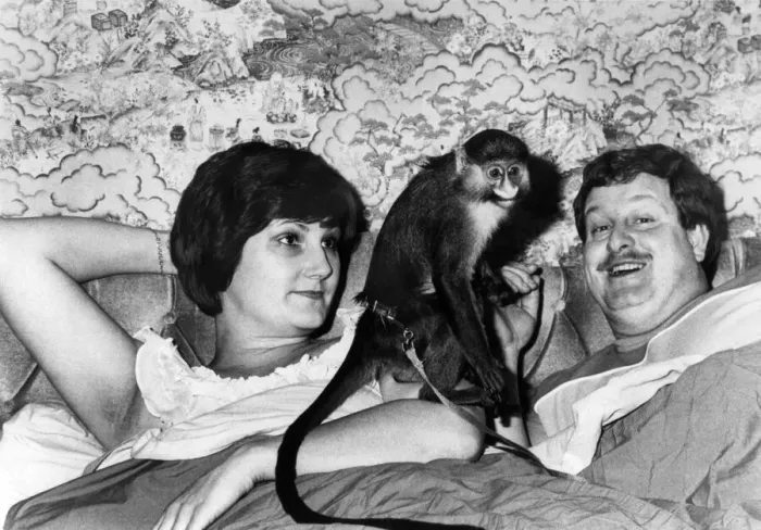 Framed Print : Monkey puzzle. Terry and Carol Kiernan and Ton Ton. January 1986 P011699 Framed Print : Monkey puzzle. Terry and Carol Kiernan and Ton Ton. January 1986 P011699