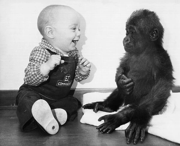 Eight month Thomas Philllips drops into Bristol Zoo to meet Lea the lonely baby Gorilla