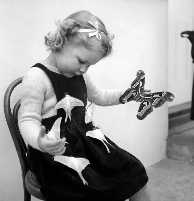 Framed Print : Moth girl: Miss Rivers seen here with moths. January 1957 A10-001