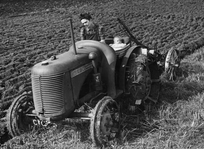 Framed Print : Mother is so busy on the farm that six-month-old baby Betty goes ploughing too Framed Print : Mother is so busy on the farm that six-month-old baby Betty goes ploughing too