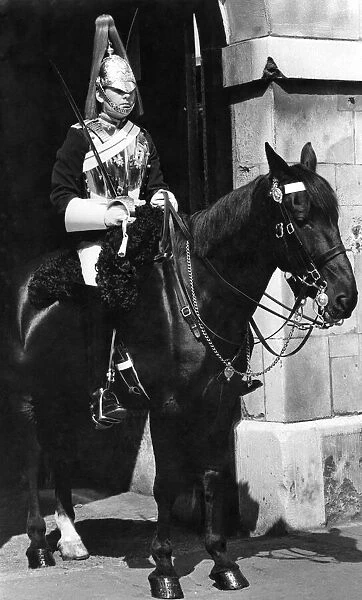 A mounted horseman on parade at Horseguards Parade. June 1979