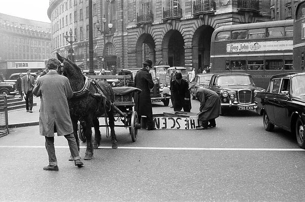 Mr Henry Cooke, of Finsbury Park, loses his new white grand piano in Piccadilly Circus
