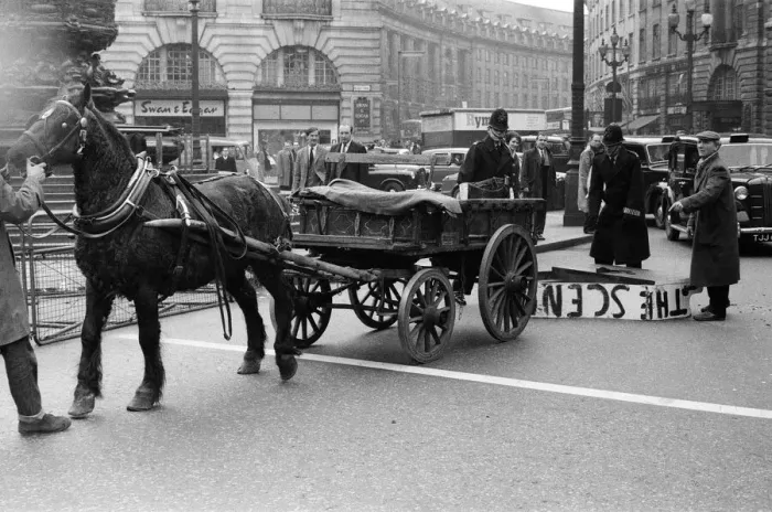Framed Print : Mr Henry Cooke, of Finsbury Park, loses his new white grand piano in Piccadilly Circus Framed Print : Mr Henry Cooke, of Finsbury Park, loses his new white grand piano in Piccadilly Circus