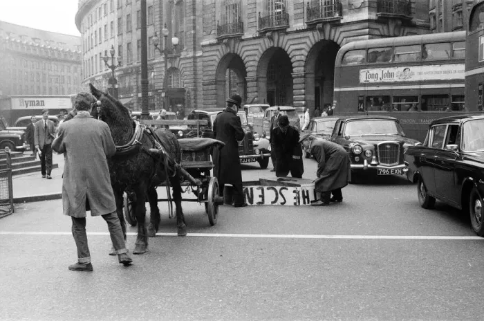 Framed Print : Mr Henry Cooke, of Finsbury Park, loses his new white grand piano in Piccadilly Circus Framed Print : Mr Henry Cooke, of Finsbury Park, loses his new white grand piano in Piccadilly Circus