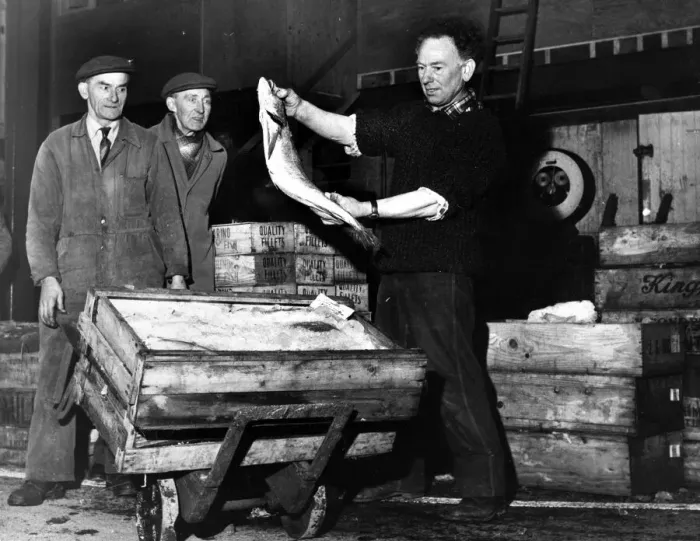 Framed Print : Mr Lal Summerton (right) of Kensington, Liverpool, holds up a large Hake which was part Framed Print : Mr Lal Summerton (right) of Kensington, Liverpool, holds up a large Hake which was part